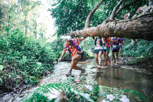 BIB: 
                            <button type="button" onclick="openModal(25445026)" class="btn btn-primary btn-sm float-right btn-popup" data-toggle="modal" data-target=".modal-high-quality">
                        <i class="fas fa-shopping-cart"></i> Add to Cart
                    </button>
                                            <button type="button" onclick="isThisMe(25445026, true)" class="btn btn-success btn-sm float-right btn-popup btn-isme hidden" data-toggle="tooltip" data-placement="bottom" title="นี่คือรูปของคุณใช่ไหม คลิกที่นี่เพื่อเอาเข้าอัลบั้ม">
                        <i class="fas fa-plus"></i> Add to album
                    </button>
                    <button type="button" onclick="isThisMe(25445026, false)" class="btn btn-warning btn-sm float-right btn-popup btn-isnotme hidden">
                        <i class="fas fa-ban"></i> Remove from album
                    </button>